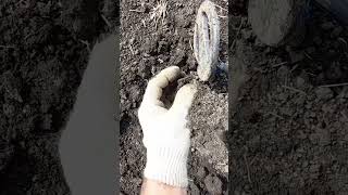 На предмете виднелся странный знак... #шурф #minelab #фундамент