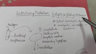 Isolation and detection of mutant: Method 2nd - Replica plating technique.