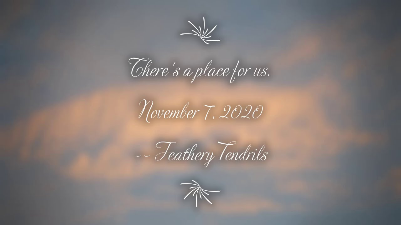 Feathery Tendrils- Feathery Dawn