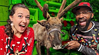 We Secretly Put a Reindeer in the Room (Christmas 2023) | The Loop Show by Loop Show 2,025 views 4 months ago 17 minutes