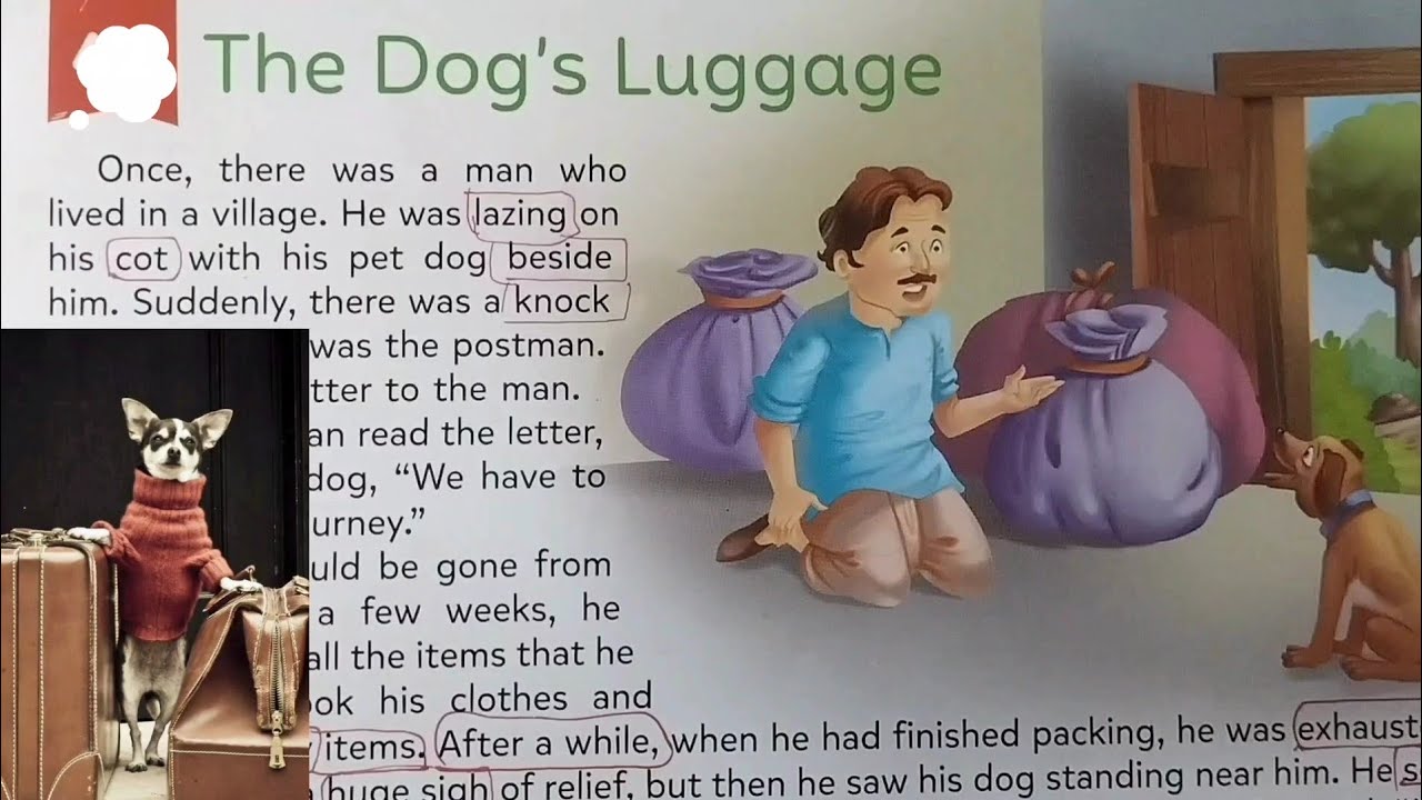 The Dog’s Luggage 🐶🧳 | Ek Funny Kahani Jo Aapko Hasa Degi