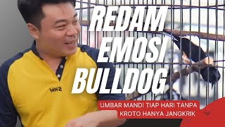 How to Calm Randy Solo's Emotions Using This Method ‼️