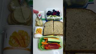 Realistic School Lunches   🥪😋🥪 #schoollunch #schoollunchideas #lunchideas