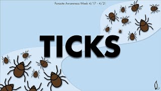 TICKS | Parasite Awareness Week