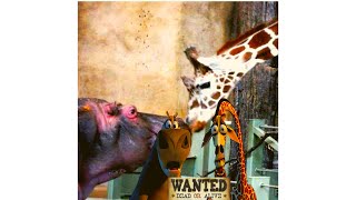Melman Gloria Wanted.