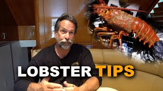 Lobster Tips from Captain Dave Hansen | California Spiny Lobster