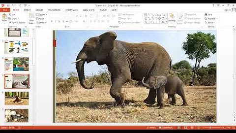 Science Fusion grade 2 unit 3 Ls 2