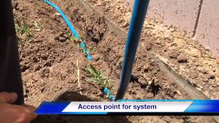 How to install a TermX reticulation system  Termite Barrier  Reticulation Line  TermX