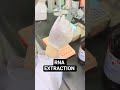 Step-by-Step Plant RNA Extraction Protocol | Laboratory Guide