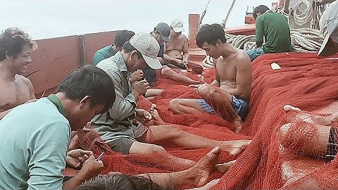 Hiện tượng, ấp thấp hình thành #sóng biển hứa đông.