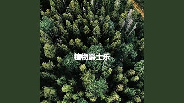 Groovy Moods for Serious Levels