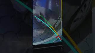 MG Windsor EV Amazing 360 Camera Features