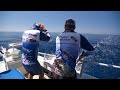 IFISH - YOU WON'T BELIEVE WHAT HAPPENS! (Fishing Mission Beach with Patrick Dangerfield)