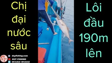 ✅ Máy câu cá biển giá rẻ solo cá khủng trên 30kg | DUY FISHING SAI GON