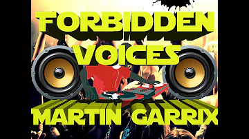 Forbidden Voices - Martin Garrix (Original Mix)