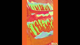 R Major 122 Pluto Green