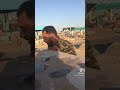 نعي عن الاخ يكسر الظهر فاكد اخو معاشرني صار اسنين نعي عن الاخ يكسر الظهر فاكد اخو معاشرني صار اسنين