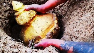 Find gold #nature #golddetector #metaldetecting #treasuretrove #goldmetaldetector