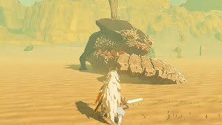 How to Easily Kill Molduga - Zelda Tears of the Kingdom