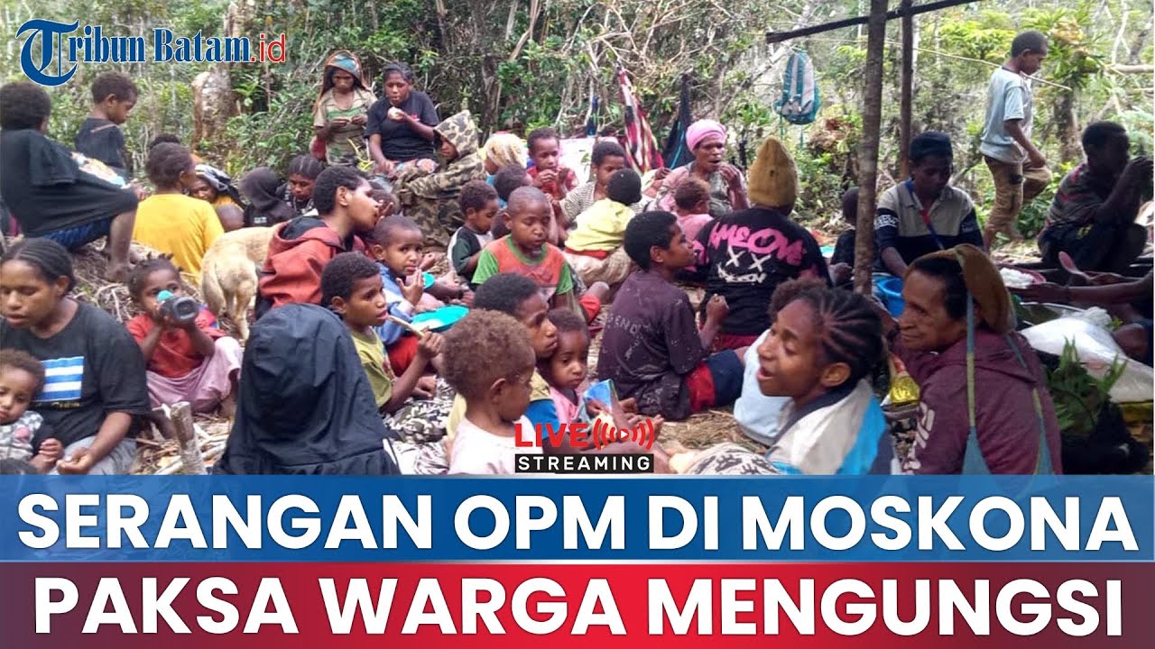 🔵Serangan OPM Paksa Warga Mengungsi, Situasi Mencekam di Moskona Utara,Pasukan Elit TNI Turun Tangan