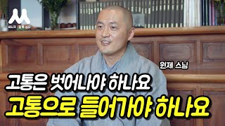 삶에서 고통을 없애는 가장 훌륭한 방법 | 원제스님과의 인터뷰 Ep.01