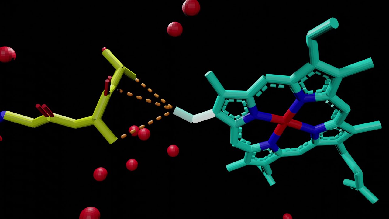 Cytochrome c Peroxidase: Structure and Mechanism