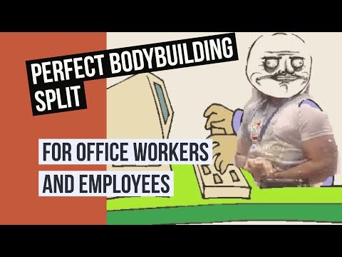 PERFECT Bodybuilding Workout Split FOR - OFFICE EMPLOYEES - Training Program Creation