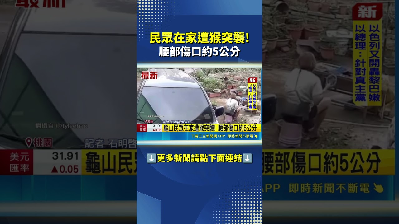 猴群出沒咬傷.抓傷民眾 在家遭猴突襲!｜三立新聞網 SETN.com