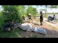 Top 1 BEST VIDEO | Skill Catch Poisonous Snakes Of Professional Hunters