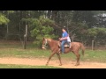Logan and Layla horseback riding