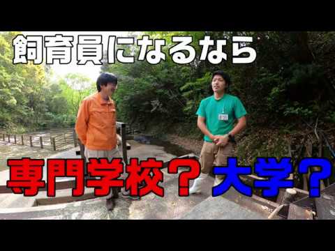 【就職希望者必見】飼育員になるなら。専門学校？大学？