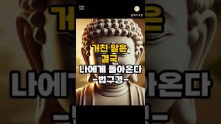 참지 못한 말, 결국 내 상처가 된다