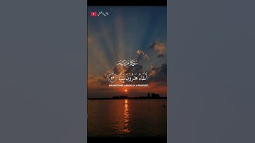 تلاوة خاشعة ومؤثرة تلامس القلب 🎧❤️‍🩹 #اكسبلور #أرح_سمعك_وقلبك #طمئن_قلبك #راحة_نفسية