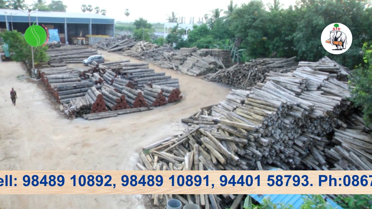 Sudheer Timber Depot Vijayawada Andhra Pradesh YouTube