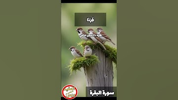 #سورة_البقرة #الاية ٢٦٠ الجزء الثاني بصوت الشيخ #عبدالباسط_عبدالصمد #اكسبلور #explore #قرآن