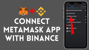 How to Connect Metamask to Binance (2024)