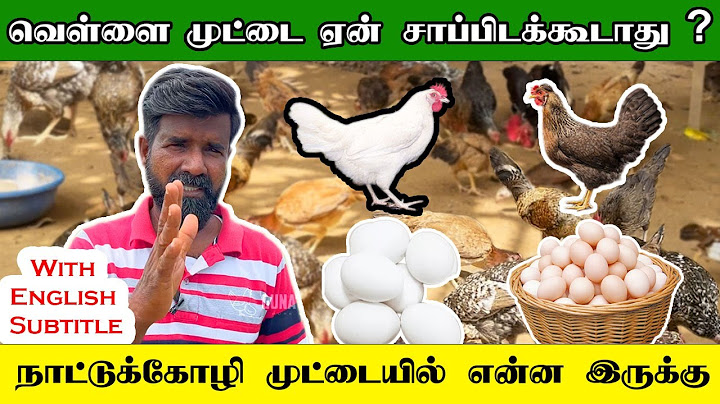 WhiteLeghorn Eggs or Country Chicken Eggs - Hens That Lay Without a Rooster | TAMIL | GUNA'S POULTRY