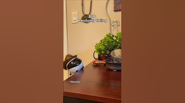 This little robot is so goofy 😭💕 #robot #longdistance #couples