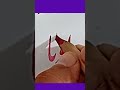 USA 🇺🇸 state name calligraphy #trending #viral #shorts #fyp #calligrphylearning