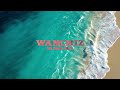 WANCHIZ - Na Bani Faza (SKYVE REMIX)