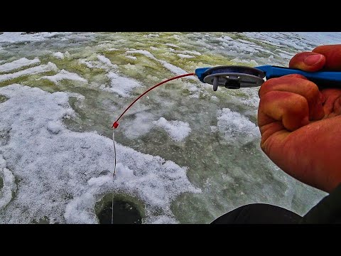 Видео: ВОТ ЭТО Я УДАЧНО ПОПАЛ! ЛЕСКА ТРЕЩИТ. ЭТО ЖОР! Первый лед 2023-2024. Рыбалка на мормышку.