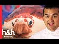 Un pastel de tortuga marina | Cake Boss | Discovery H&H