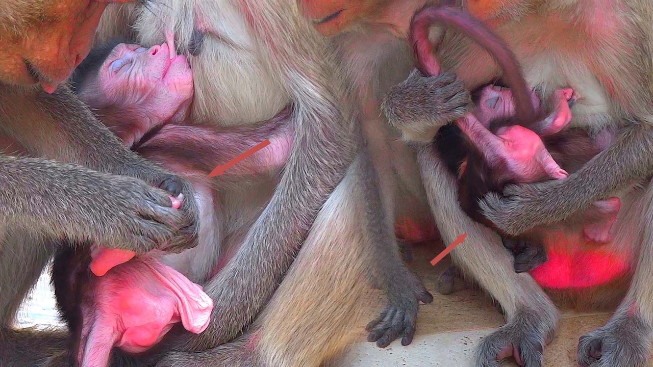 OMG!!! The action of a mother hugging her newborn baby carefully for fear of waking him up