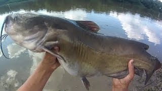 Bait Fishing #51 - River Fishing for Big Channel Catfish with Shrimp, Worms, and Hotdogs