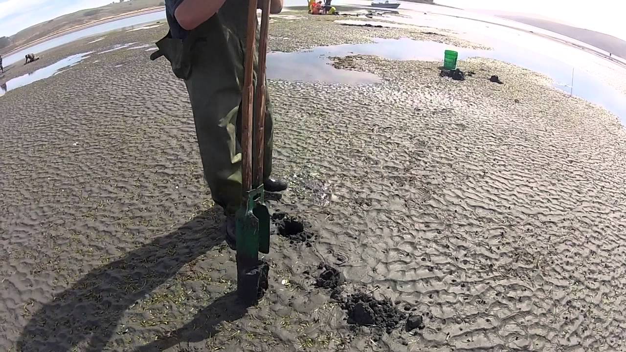 2014 Tomales Bay Crab & Clam Trip