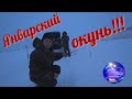 Январский окунь!!! Рыбалка на окуня в январе на Братском водохранилище!