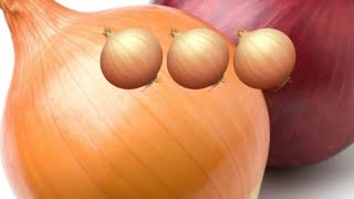 Top 10 Vegetables in 2020 - Onion 🧅