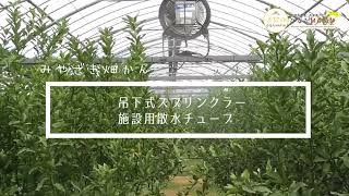 吊下式スプリンクラー、施設用散水チューブ