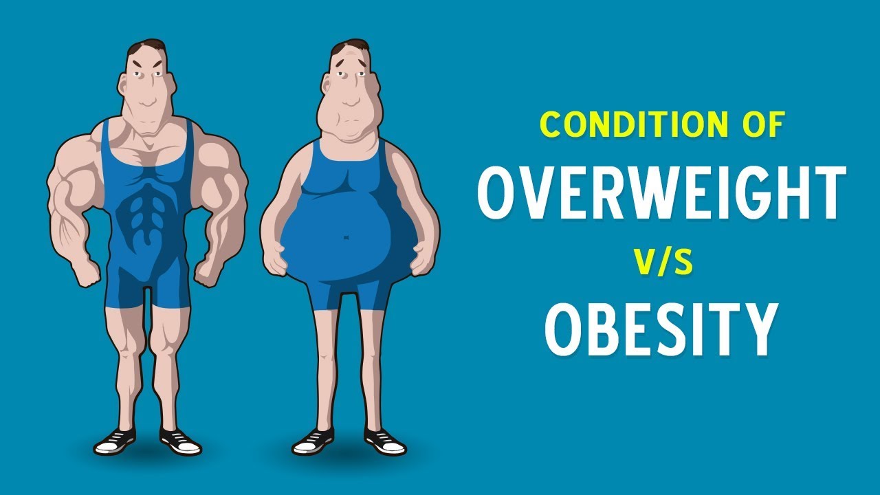 Image result for obesity vs overweight