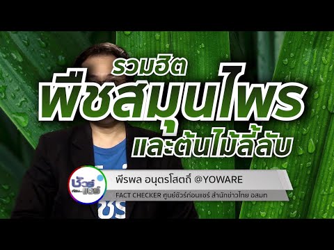 ชัวร์ก่อนแชร์ CHECK-LIST : 5 เรื่องฮิต พืชผักสมุนไพร จริงหรือ ?